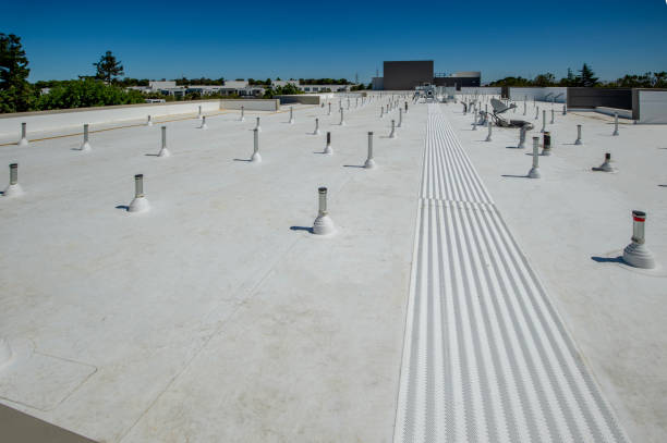 Best Roof Coating and Sealing  in Bressler, PA